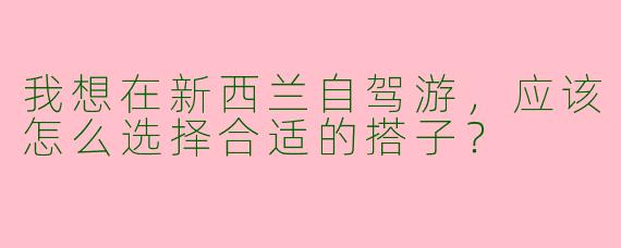 我想在新西兰自驾游，应该怎么选择合适的搭子？