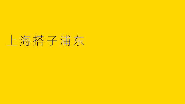上海搭子浦东