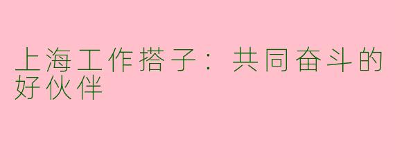 上海工作搭子：共同奋斗的好伙伴