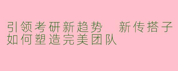 引领考研新趋势 新传搭子如何塑造完美团队