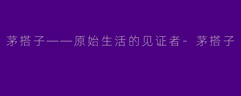 茅搭子——原始生活的见证者-茅搭子