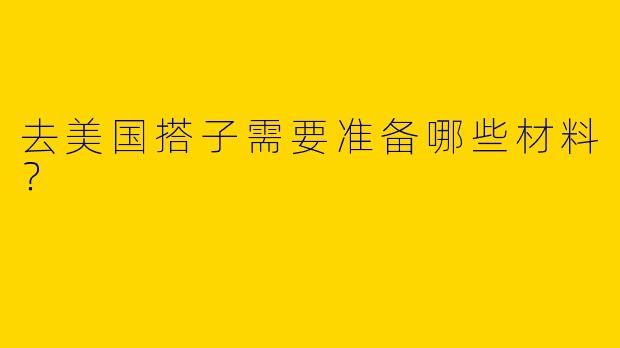 去美国搭子需要准备哪些材料?