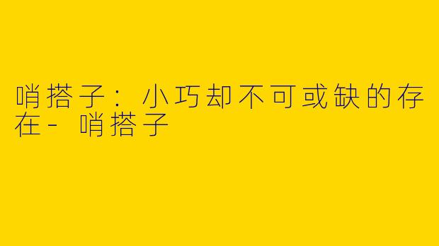哨搭子：小巧却不可或缺的存在-哨搭子