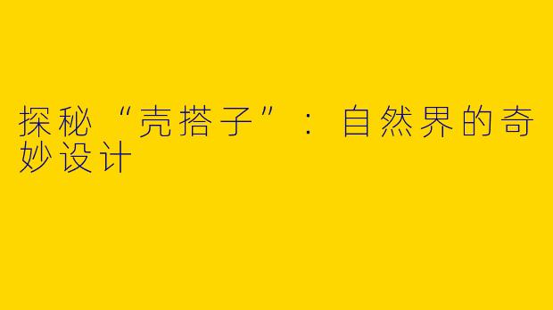 探秘“壳搭子”：自然界的奇妙设计