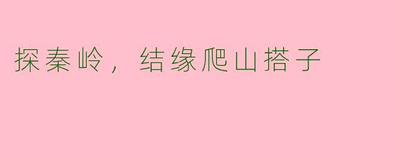 探秦岭，结缘爬山搭子