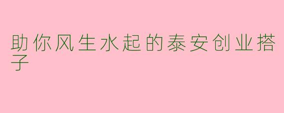 助你风生水起的泰安创业搭子