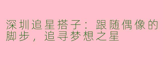 深圳追星搭子：跟随偶像的脚步，追寻梦想之星