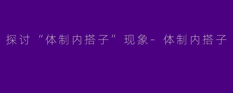 探讨“体制内搭子”现象-体制内搭子