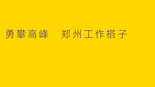 勇攀高峰 郑州工作搭子