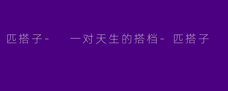匹搭子- 一对天生的搭档-匹搭子