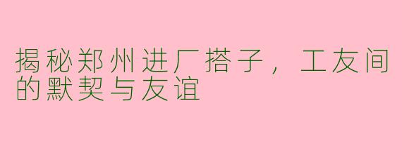 揭秘郑州进厂搭子，工友间的默契与友谊