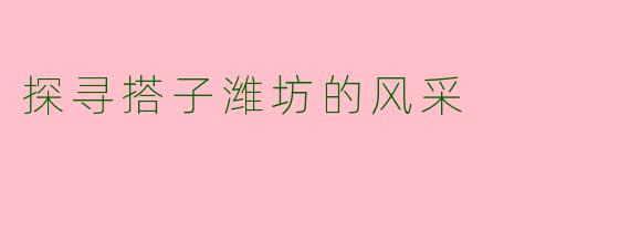 探寻搭子潍坊的风采