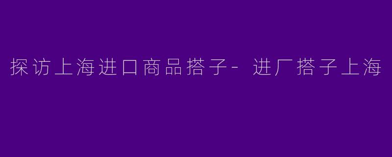 探访上海进口商品搭子-进厂搭子上海