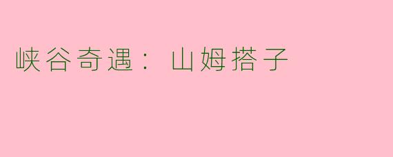 峡谷奇遇：山姆搭子