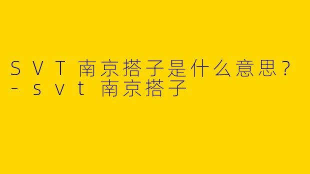 SVT南京搭子是什么意思?