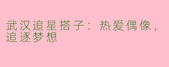 武汉追星搭子：热爱偶像，追逐梦想