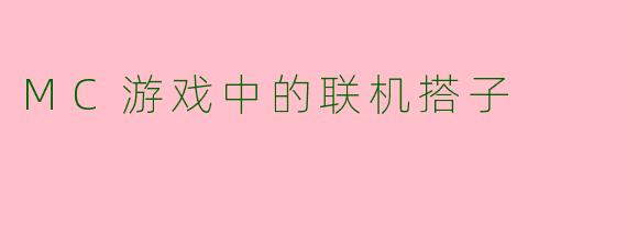 MC游戏中的联机搭子