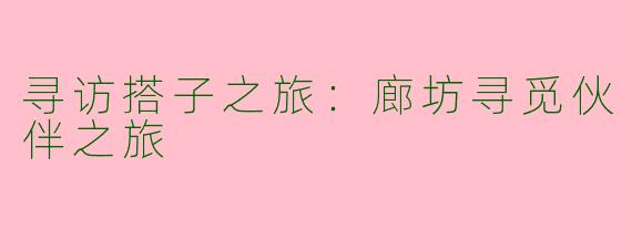 寻访搭子之旅：廊坊寻觅伙伴之旅