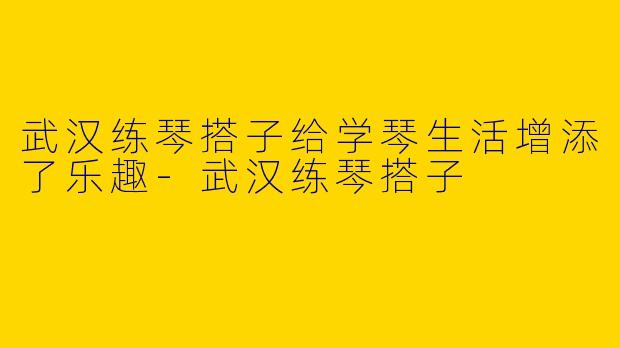 武汉练琴搭子给学琴生活增添了乐趣-武汉练琴搭子