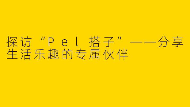 探访“Pel搭子”——分享生活乐趣的专属伙伴