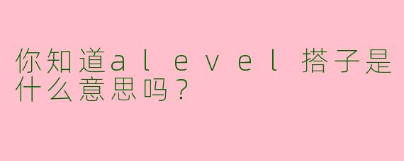 你知道alevel搭子是什么意思吗?