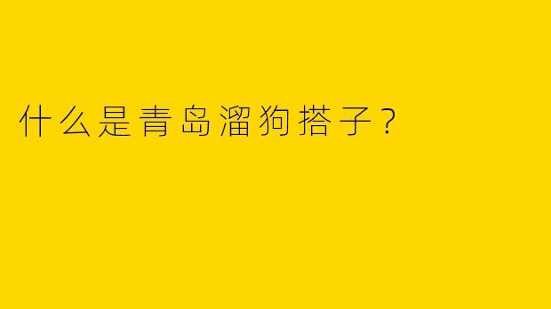 什么是青岛溜狗搭子？