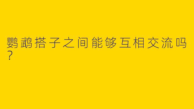 鹦鹉搭子之间能够互相交流吗?