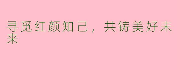 寻觅红颜知己，共铸美好未来