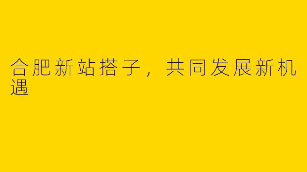 合肥新站搭子，共同发展新机遇