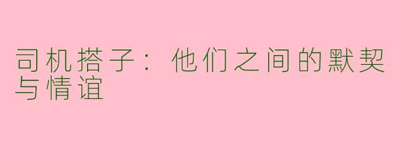 司机搭子：他们之间的默契与情谊