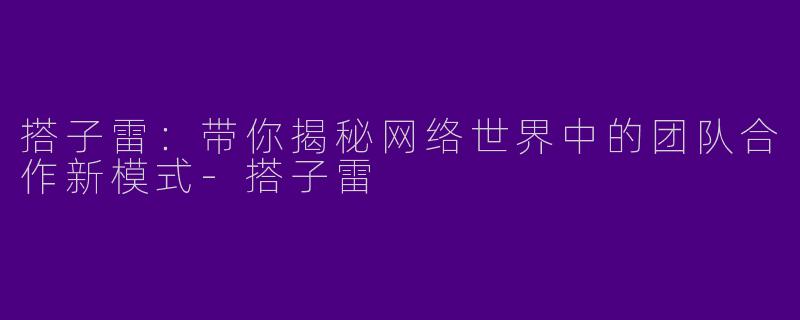搭子雷:带你揭秘网络世界中的团队合作新模式