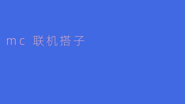 mc联机搭子