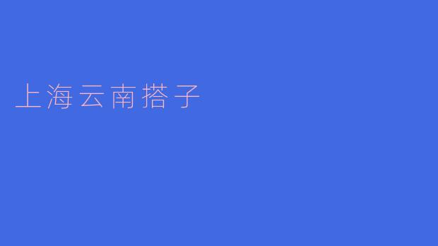 什么是上海云南搭子？