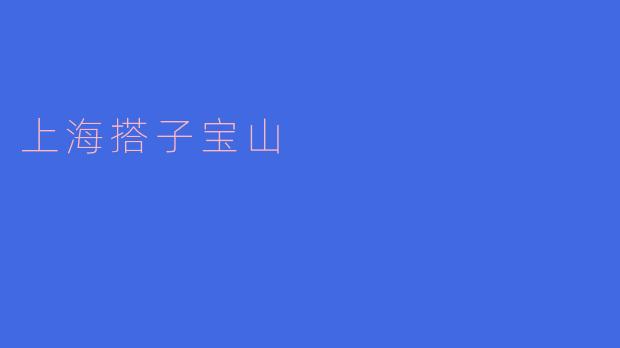 上海搭子宝山