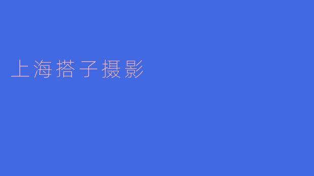 上海搭子摄影是什么意思?