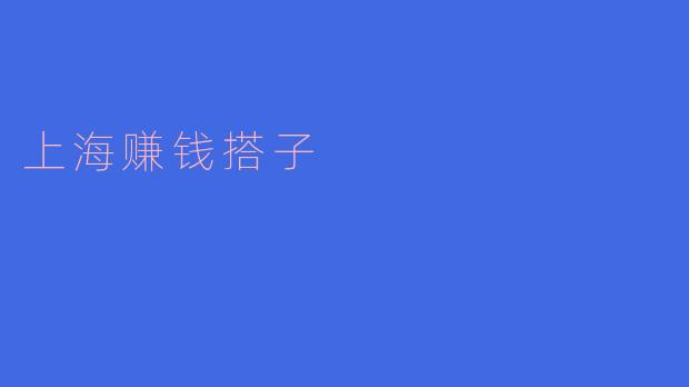 揭秘上海赚钱搭子,成功创业从此开始