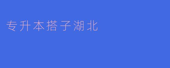 专升本搭子湖北，开启职业发展新篇章