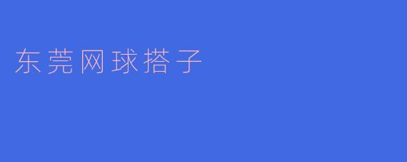 什么是东莞网球搭子?