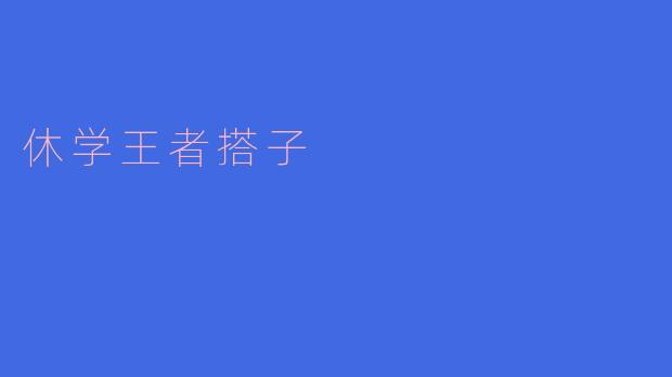 重拾王者荣耀——休学王者搭子