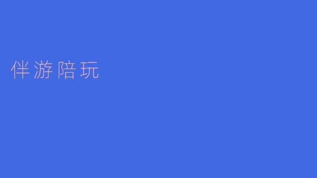 伴游陪玩