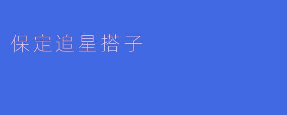 保定追星搭子