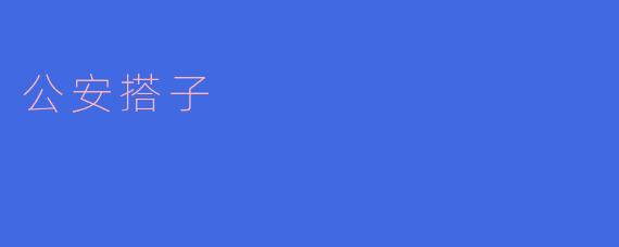 公安搭子