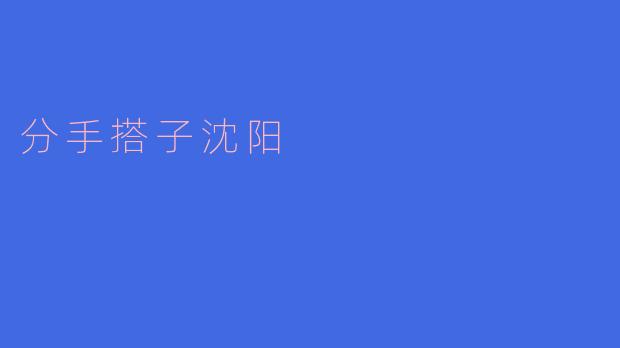 告别搭子沈阳
