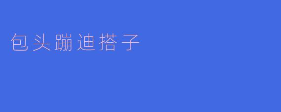 包头蹦迪搭子
