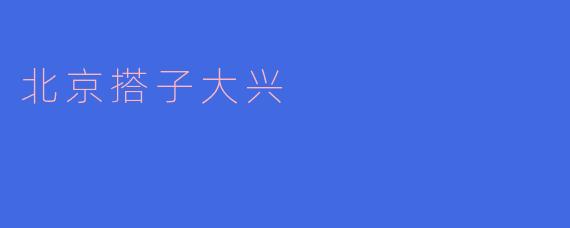 北京搭子大兴