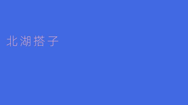 北湖搭子:传承经典,续写传奇