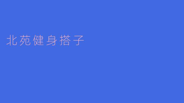 北苑健身搭子是什么意思？  