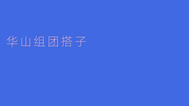 华山组团搭子,攀登人生巅峰
