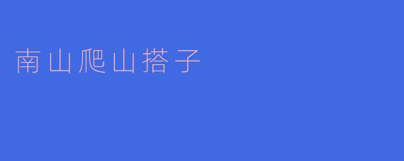 南山爬山搭子,登顶开阔眼界