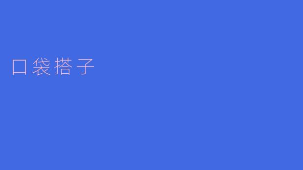 口袋搭子
